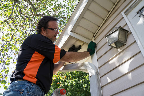 Best Demolition Debris Removal  in Lapeer, MI
